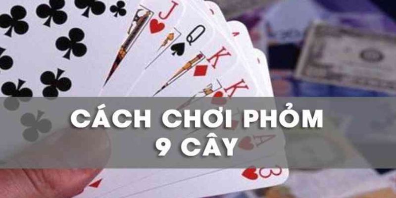 Cách Chơi Phỏm 9 Cây - Khám Phá Thú Vị Của Trò Chơi Truyền Thống